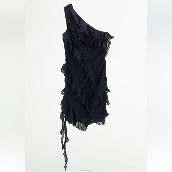 Zara Dresses & Skirts - ZARA | Pleated Ruffled Mini Dress | Blogger's Favorite